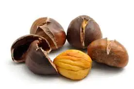 VIETNAM WHOLE SALE COMPETITIVE PRICE CHESTNUT