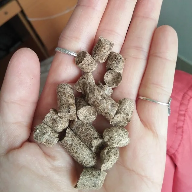 TOP CHEAP SUGAR CANE PELLETS, CHEAP PELLETS for CATTLE FEEDING!