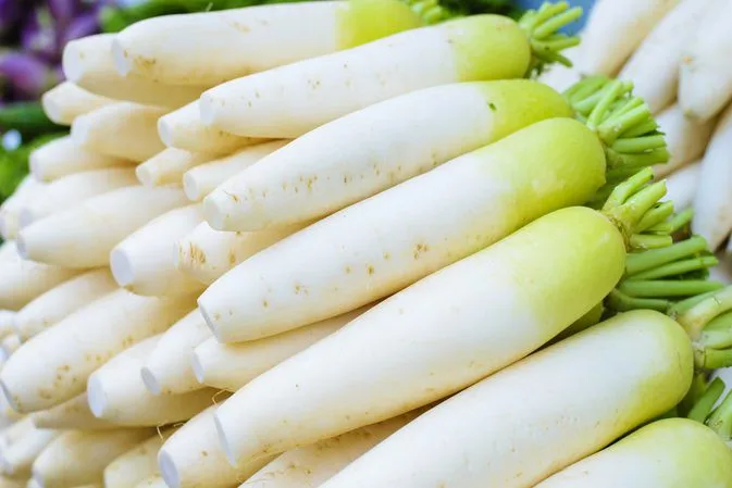 FRESH DAIKON RADISH in BIG SIZE in 2020