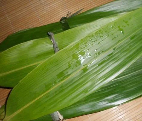 Бамбуковая вакуумная упаковка для ресторана 2021/ Whatsapp + 84 845