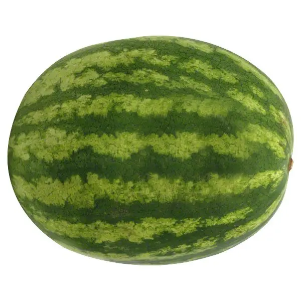 fresh water melon fruit for sale - buy colorful melons,types of