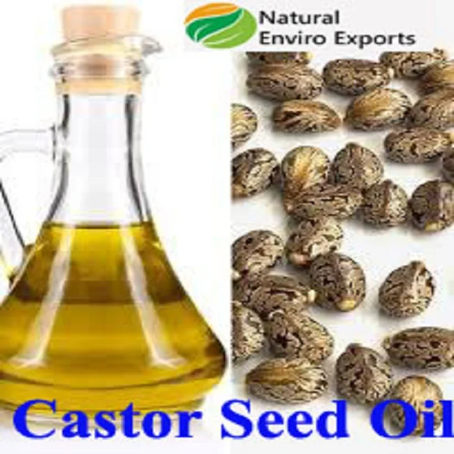 Wholesale Best Quality Castor Oil / Seed for Multipurpose