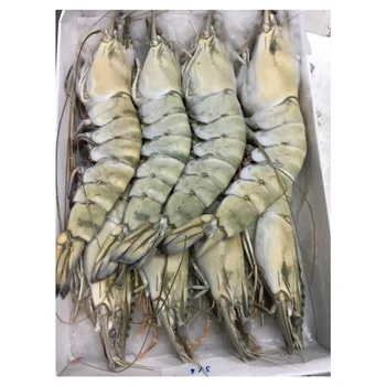 frozen vannanmei shrimp wholesale and seafood