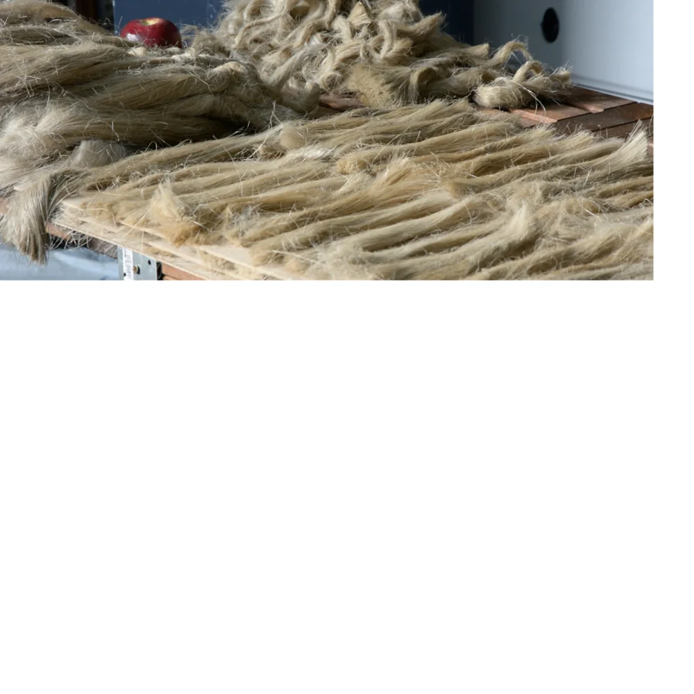 Natural Banana Fiber Suitable For Spinners And Weavers Made From Real