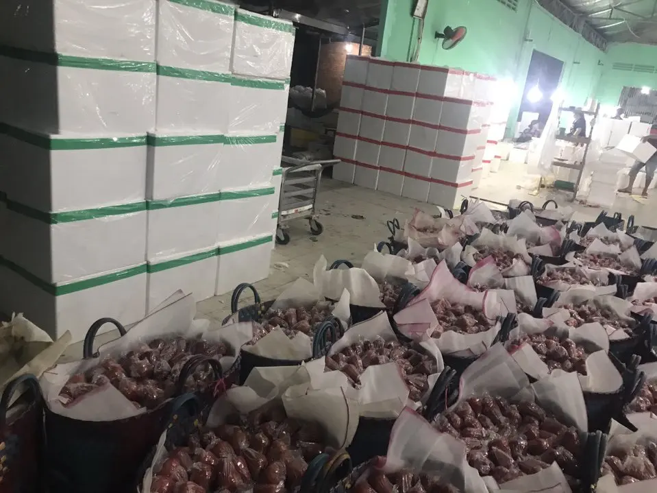 Роза яблоко для экспортера продаж в 2020