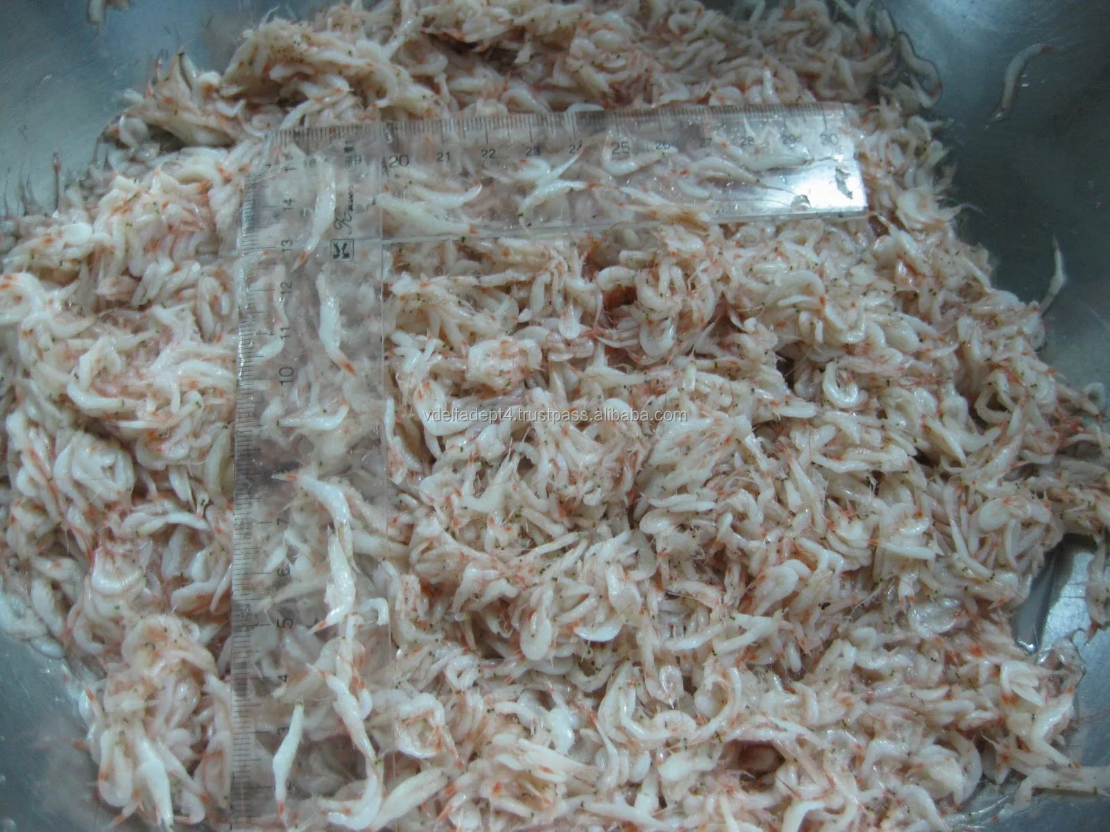 Dried Baby Shrimp Dried Small Shrimp Dried Acetes From Vietnam //ms