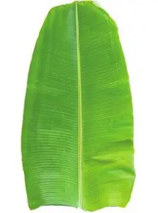 Доступны индийские свежие банановые листья...