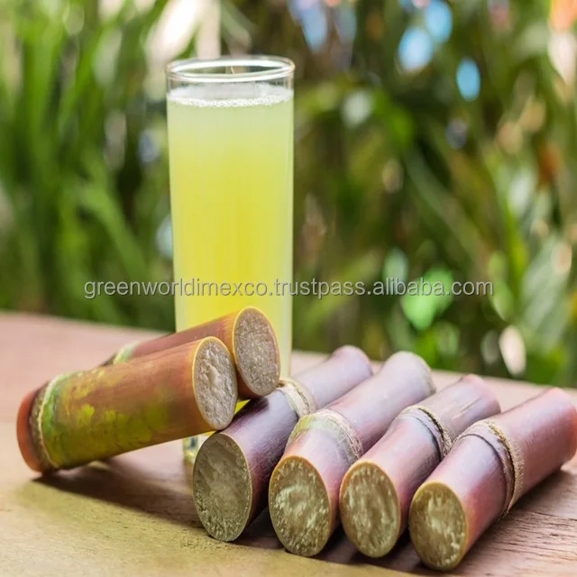 Tropical Fruit Frozen Sugarcane Reasonable Price For Export Buy Sugar Cane Green World Brown Product On Alibaba Com