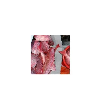 白赤スナッパー魚冷凍キングスナッパーフィッシュ Buy 白鯛魚 冷凍赤鯛wr 鯛魚 Product On Alibaba Com