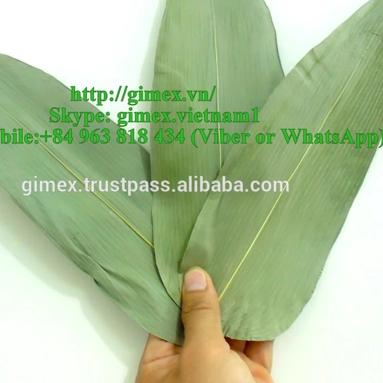 Big Size Bamboo Leaves High Quality Buy Viet Nam Bamboo Leaves Bamboo Leaf Bamboo Leaves Product On Alibaba Com