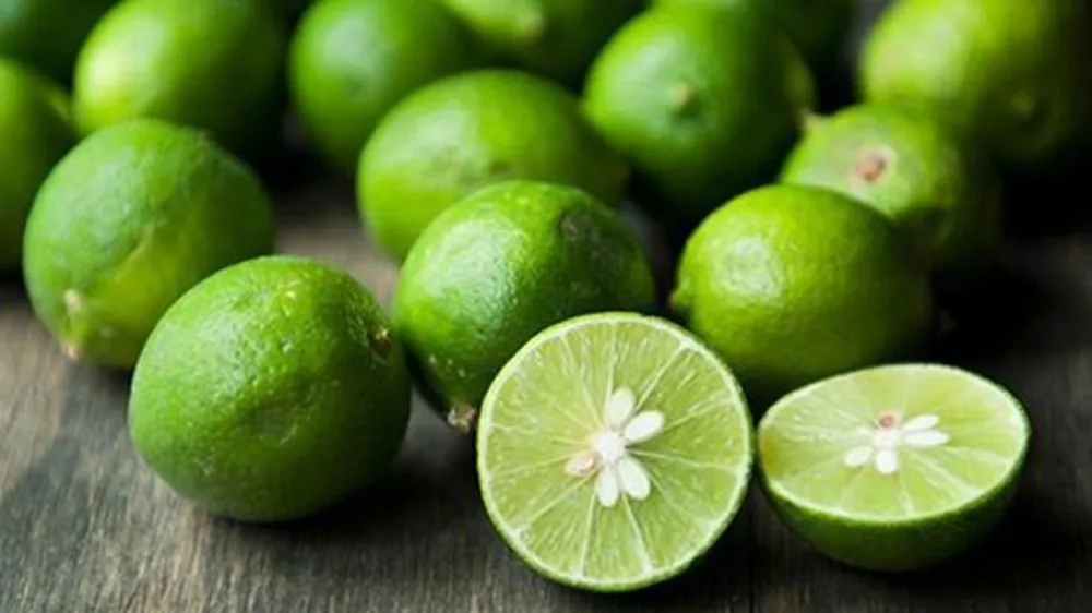 Vietnam Fresh Seedless Lime/ Lemon For High Quality - Ms. Caryln ...