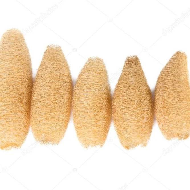 wholesale loofah - luffa sponges with best price