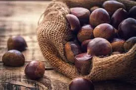VIETNAM WHOLE SALE COMPETITIVE PRICE CHESTNUT