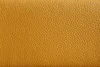mustard yellow