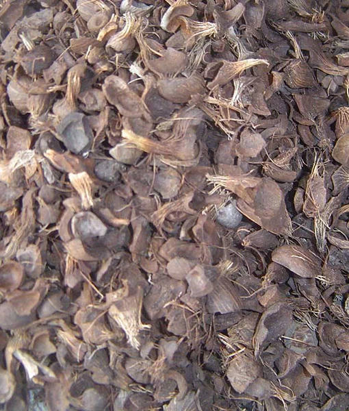 european best grade palm kennel shell - buy palm