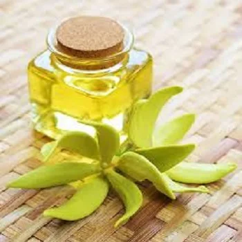 Aceite De Ylang Ylang Cananga Odorata Altamente Beneficioso De La Mejor Calidad Buy Cananga Odorata Oil Ylang Ylang Oil Ylang Ylang Essential Oil Product On Alibaba Com