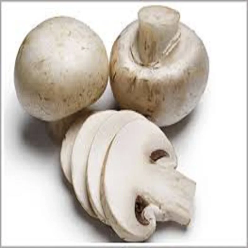 ad organic dried mushroom - buy fresh white button mushroom