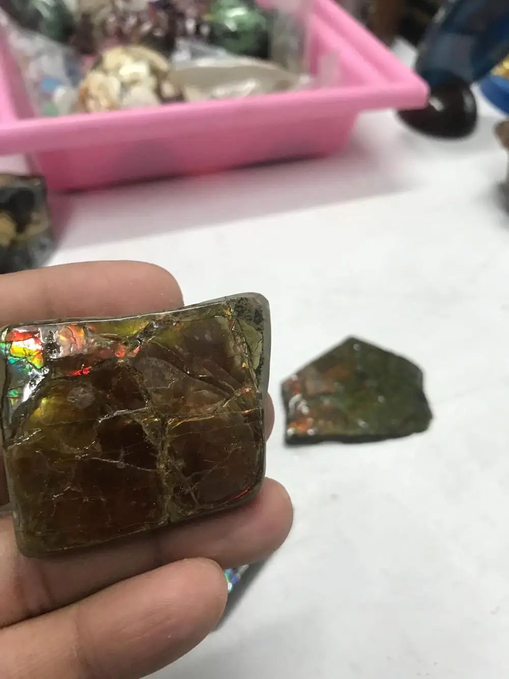 Ammolite Raw Rough Natural Stone Uncut Wholesale High Quality and Factory Price