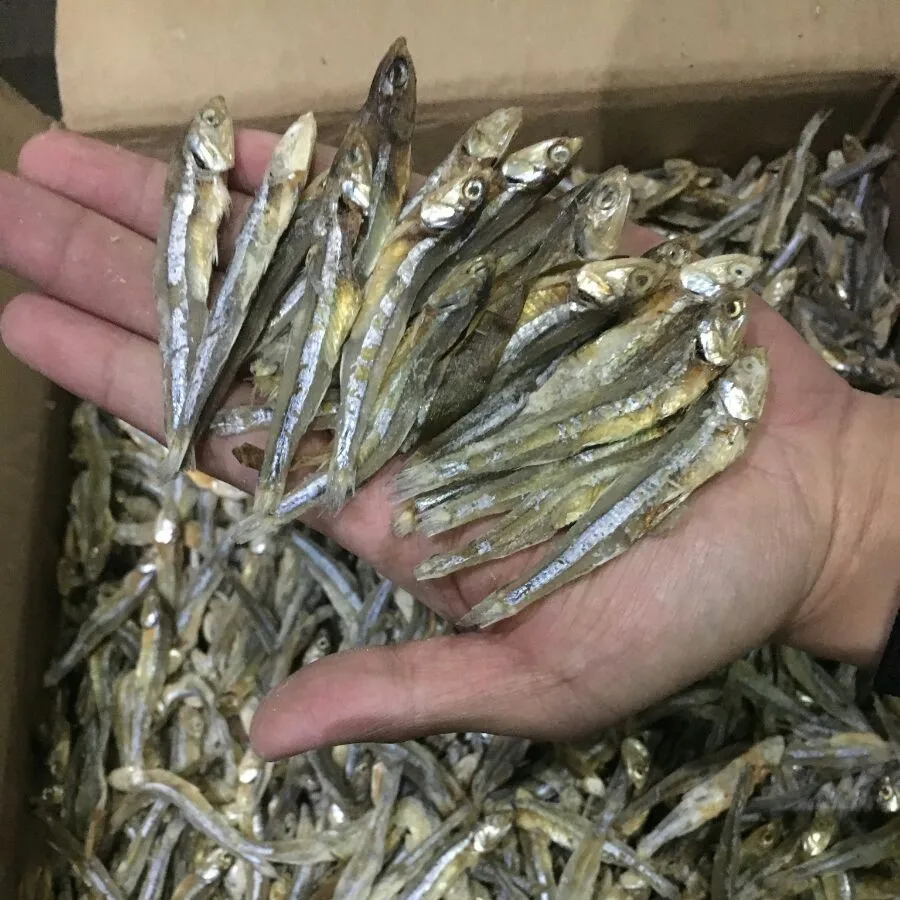 Dried Small Anchovies Fish Famous Seafood Vietnam 100 Natural Buy