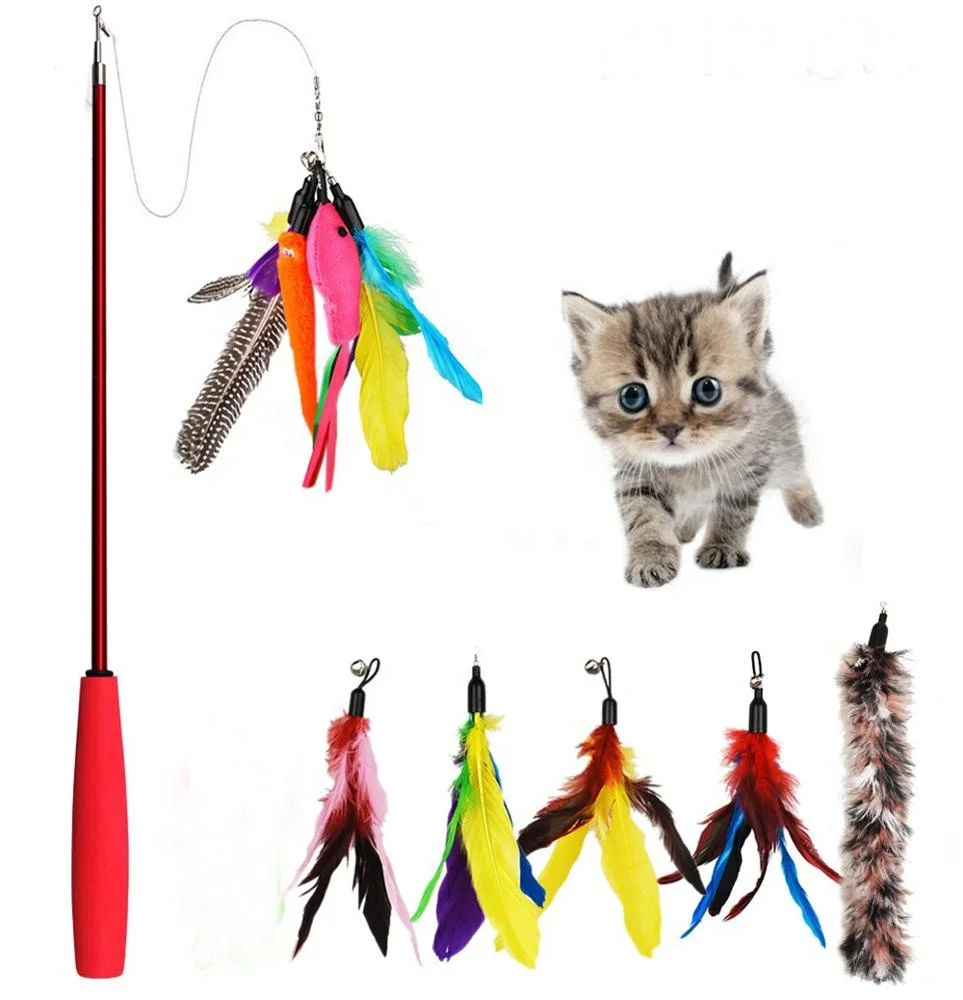 retractable cat toy