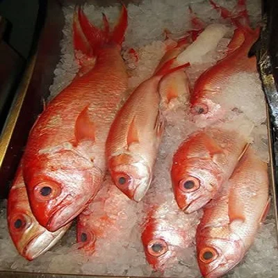 高品質のシーフード魚冷凍赤スナッパー 魚赤スナッパー 価格赤スナッパー Buy 高品質シーフード魚冷凍赤鯛 魚赤鯛 価格赤鯛 Product On Alibaba Com