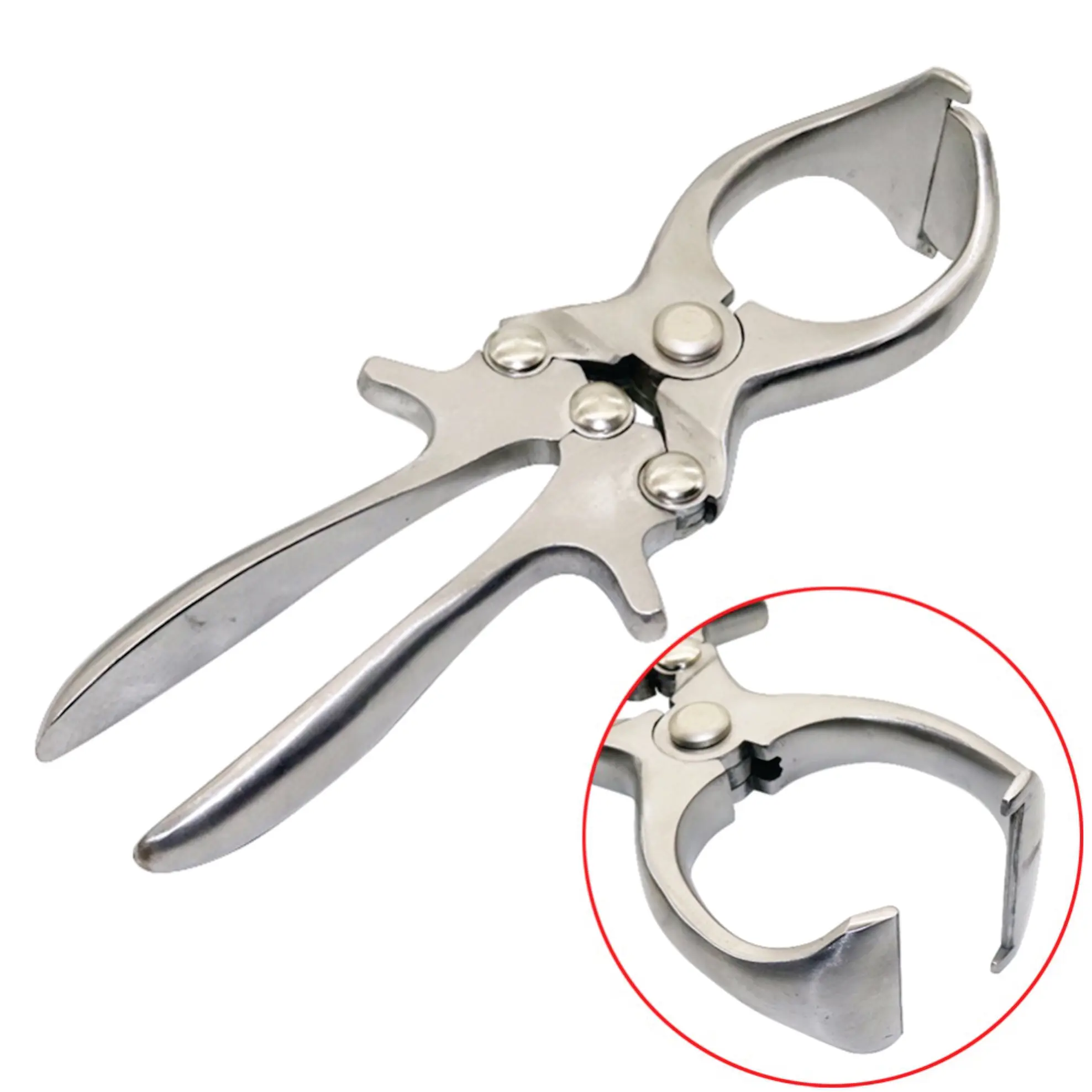 Burdizzo Castration Tang Bloedeloze Castration Duitse Rvs Veterinaire burdizzo-castration-tang-bloedeloze-castration-duitse-rvs-veterinaire