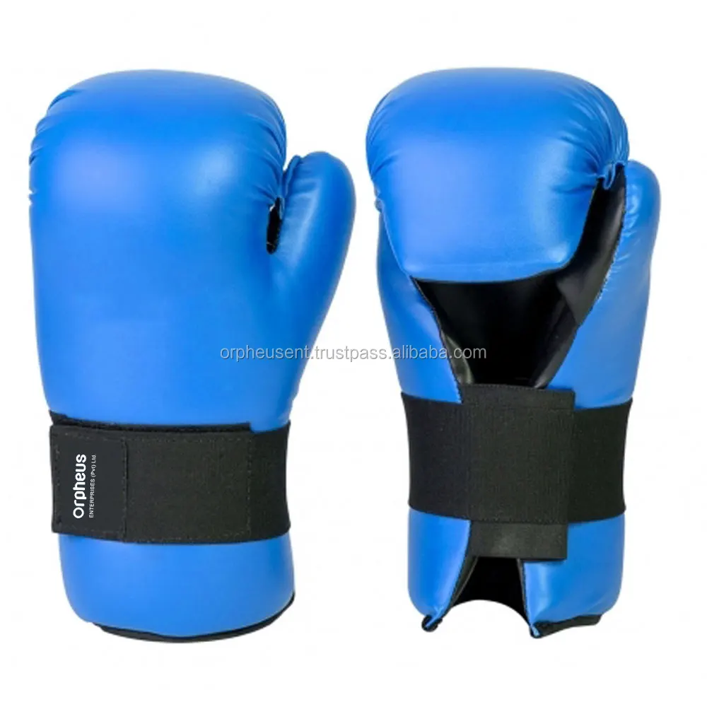 sparring mitts