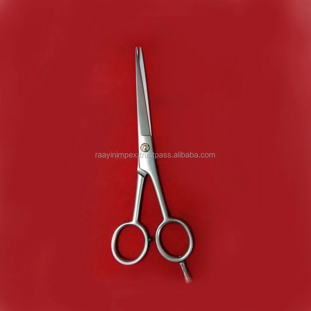 best professional hair stylist scissors
