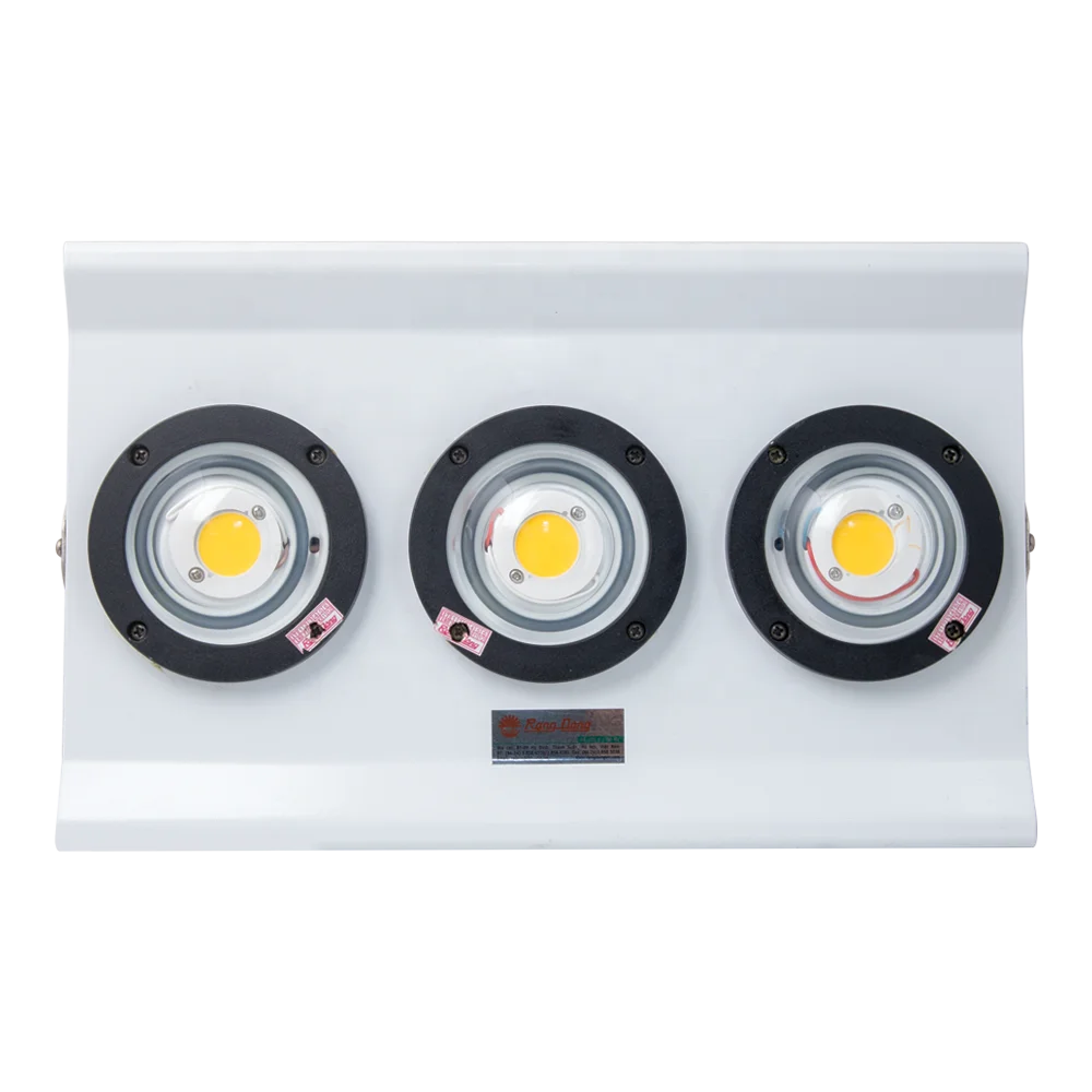 Waterproof IP66 Anti-rust Fishing Lighting on Board 300W LED Flood Light