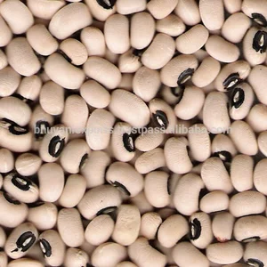 Hot Selling Black Eyed Beans - Cow Pea Beans - Grains - 2026 Crop Black Eye Beans From Madagascar....