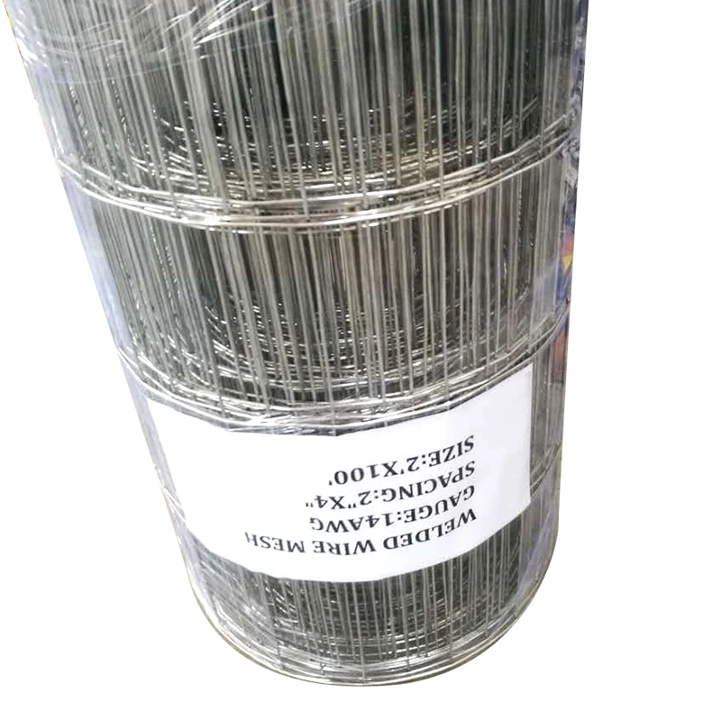 Stainless Steel Welded Wire Mesh Hot Dipped Electro Galvanized Welded