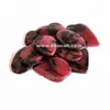 rhodonite ring
