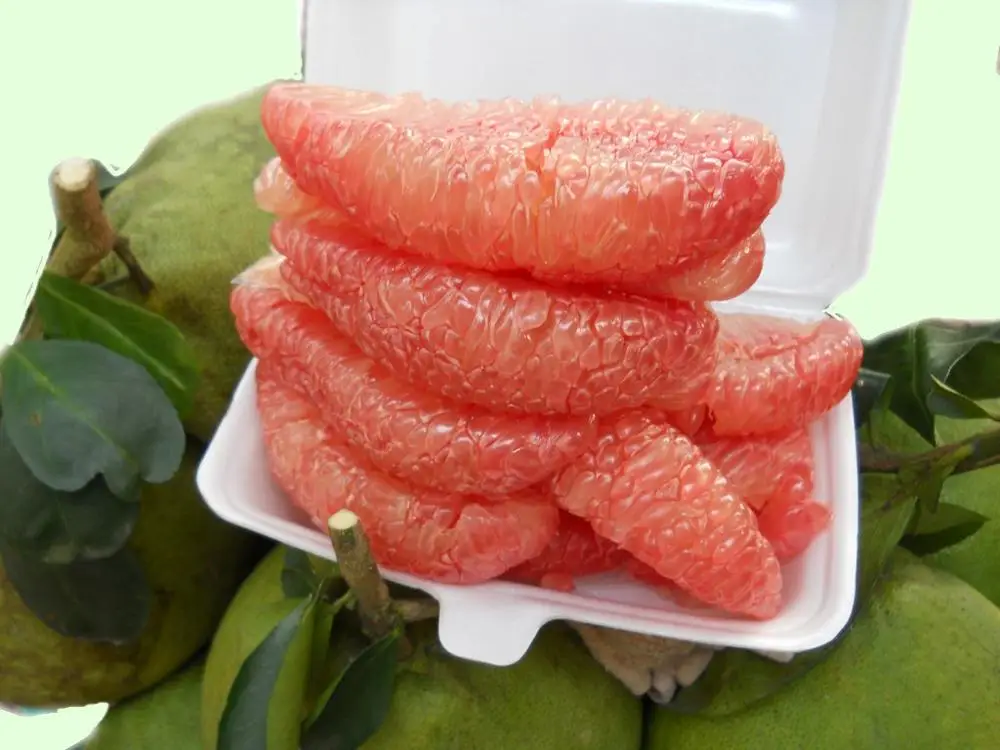 Fresh Grapefruit / Red Grapefruit Pomelo in 2020