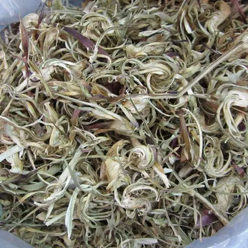 WHOLESALE VIETNAM DRIED ARTICHOKE for TEA