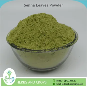 supply best price senna leaves powder for sale