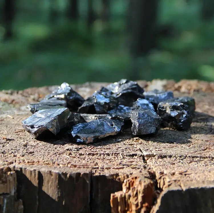 Elite Shungite for Water Filtration, Noble Shungite Authentic for Water filtering, Shungite from Karelia Russia