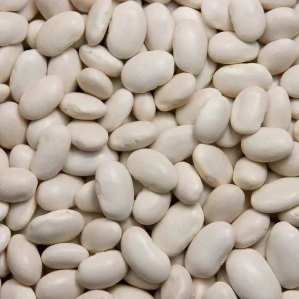 bulk lima beans big size white kidney bean for sale