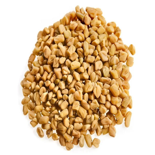 Graines De Fenugrec Indien Buy Graines De Fenugrec Fournisseurs De Graines De Fenugrec Exportateurs De Graines De Fenugrec Product On Alibaba Com