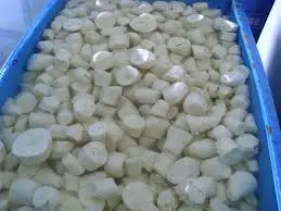 Fresh Tapioca/ Cassava, IQF Frozen Tapioca, Freeze Crushed Tapioca Paste/ Mr. Pierre Luu
