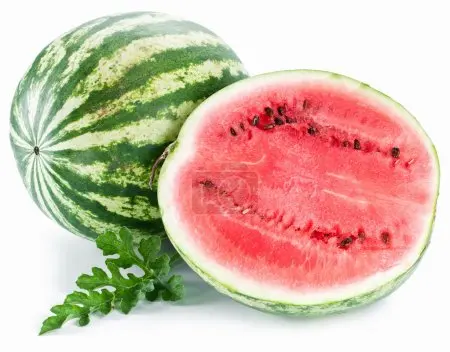 natural royal fresh watermelon fruit for sale fresh water melon