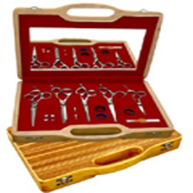 Professional Hairdressing Scissors Set Hair Cutting And Thinning
