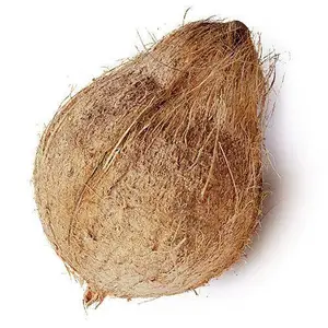 Fresh Indian Semi-Husked Coconut Sweet Tasting Fruit