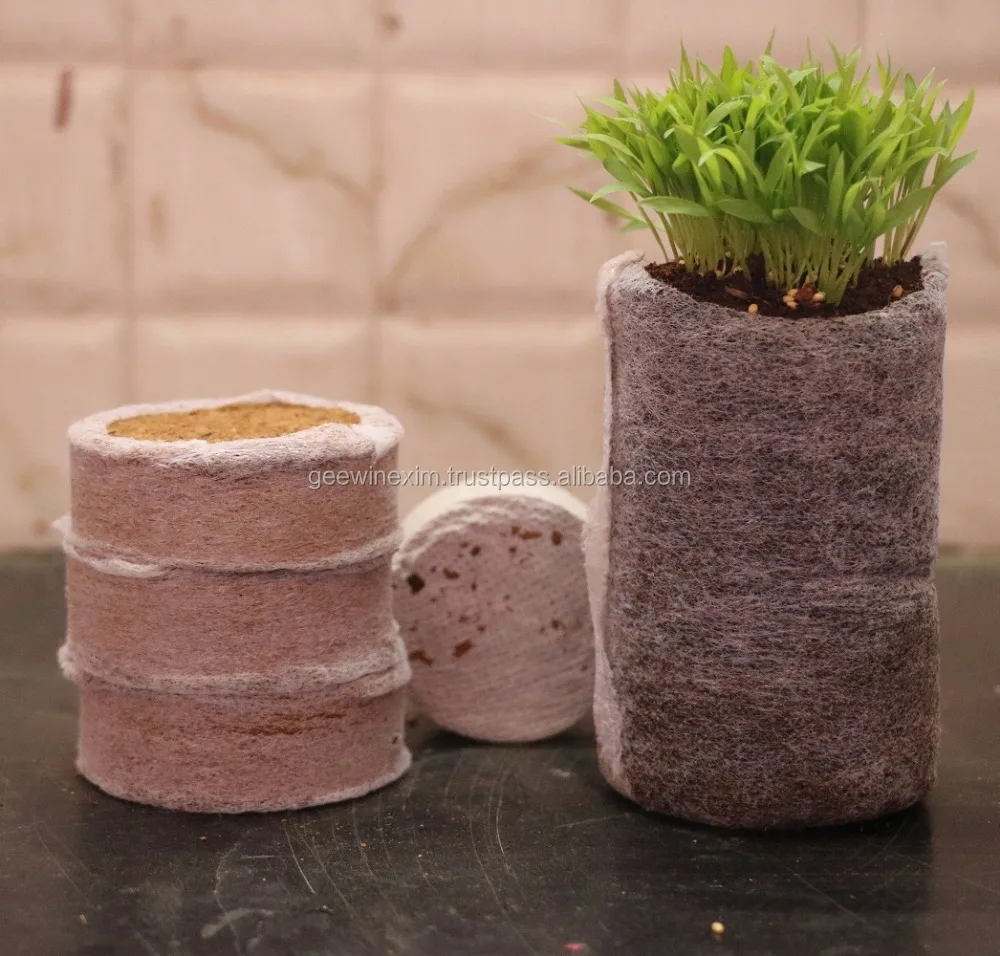 MOELLEUX AU CHOCOLAT CŒUR COULANT NOIX DE COCO - Healthy Clemsy