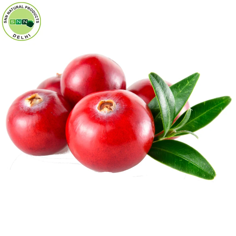 cranberry seed oil conventional at wholesale price - buy