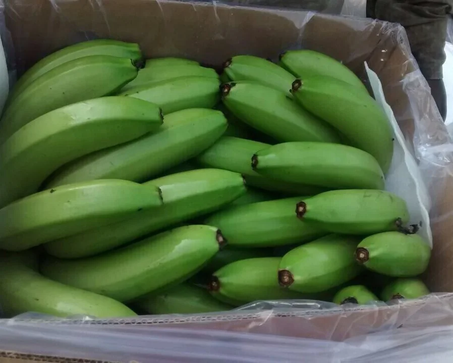 Вьетнамские бананы. Бананы свежие зеленые. Основные поставщики бананов.