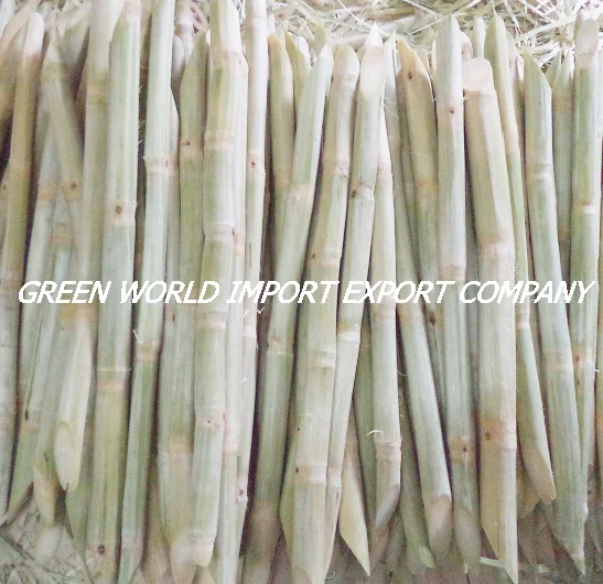 Замороженный сок сахарного тростника из Вьетнама по лучшей цене