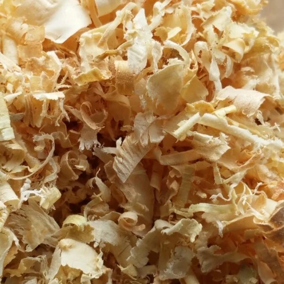 100 Vietnam Pine Wood Shaving For Horse Bedding Buy Wood Shaving For Poultry Farm Animal Bedding Wood Shavings For Sale Product On Alibaba Com 100 Vietnam Pine Wood Shaving For Horse Bedding Buy Wood Shaving For Poultry Farm Animal Bedding Wood Shavings For Sale Product On Alibaba Com