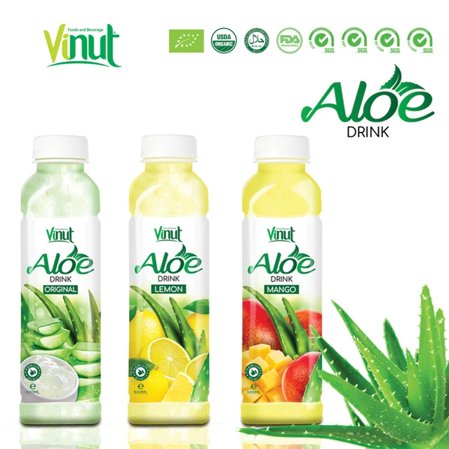 aloe vera topfpflanze pflege Aloe Vera „Alfonso“ – Aloe-Vera-Pflanze in Gärtnerqualität kaufen main image 1