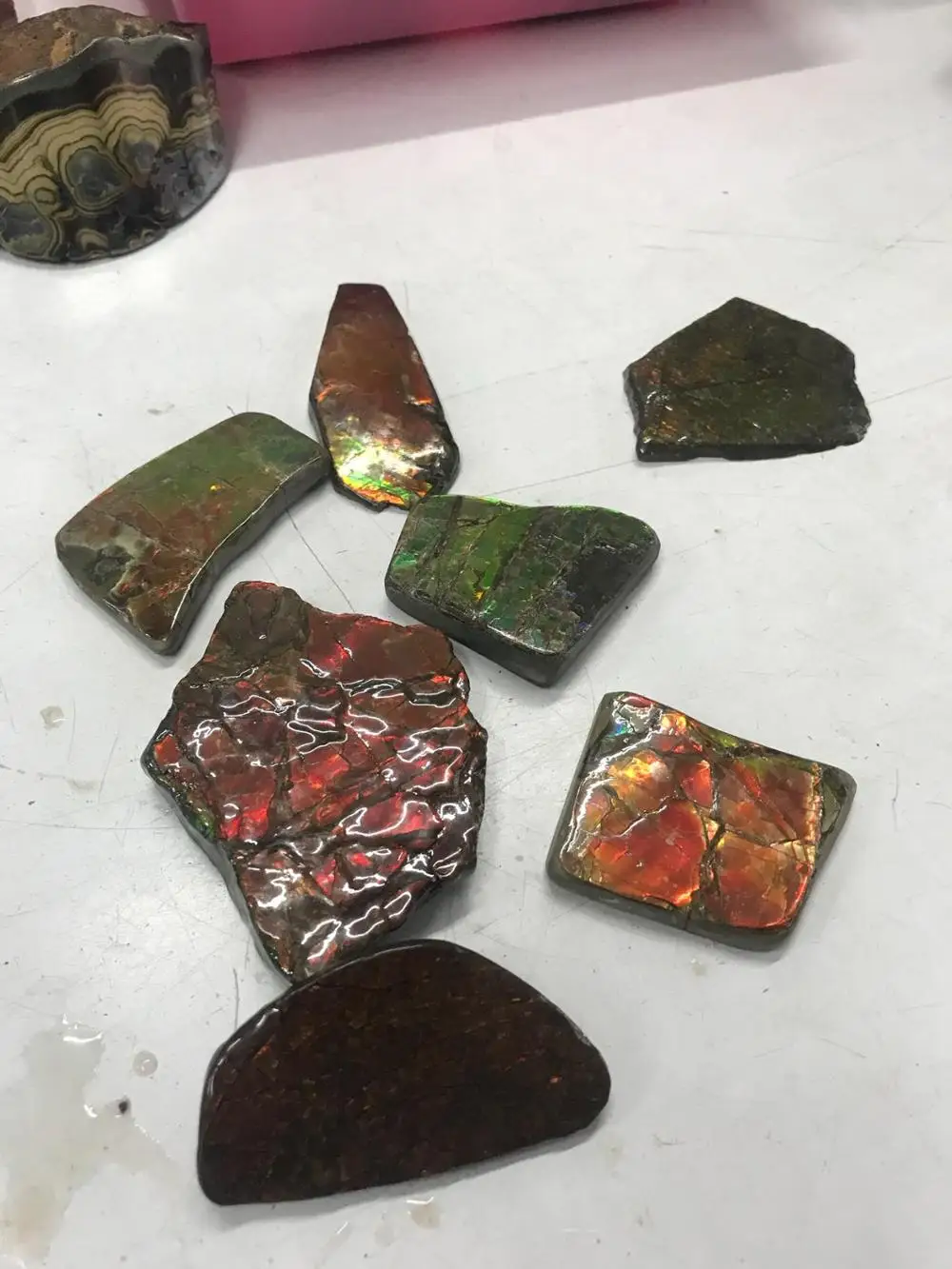 Ammolite Raw Rough Natural Stone Uncut Wholesale High Quality and Factory Price