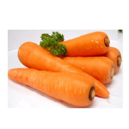 10 Off Carrots For Sale ニンジンの販売 図案 見本 Www We Job Com